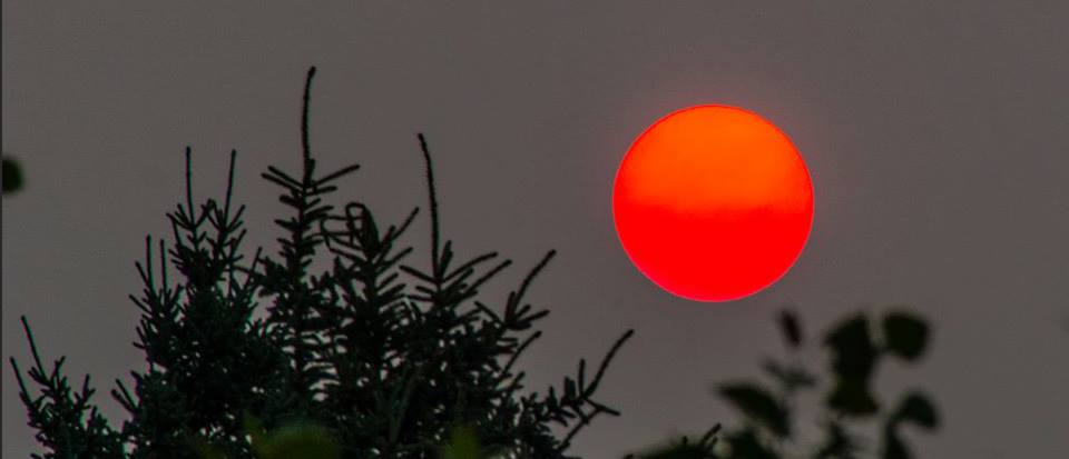 20229001_10158961405660526_3082303087583799659_n