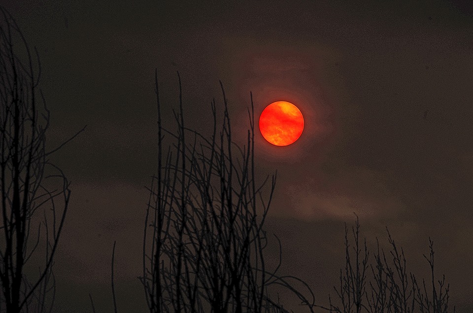 20429809_10159028612625526_1905117758032999423_n