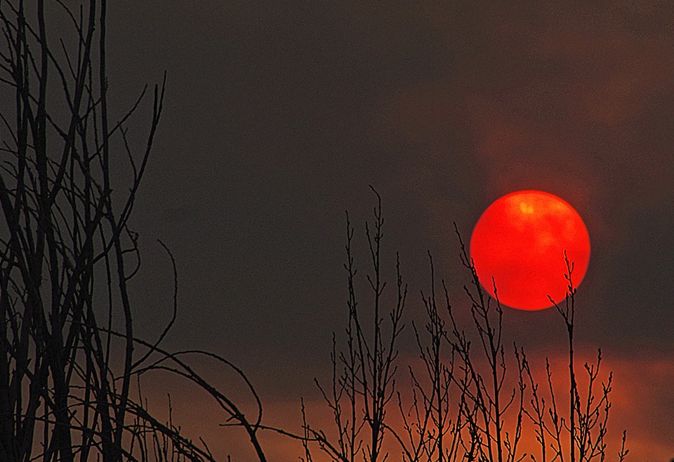 20431220_10159028611395526_418435991065923709_n