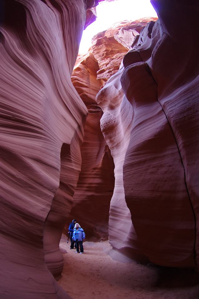 29425575_10160079781320526_2295188123065253888_n