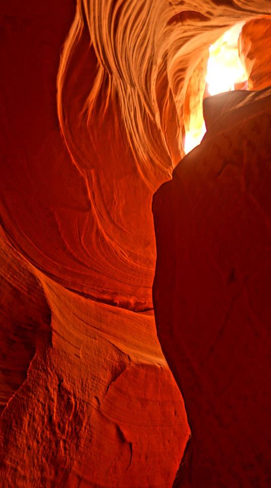 29496761_10160079812820526_1399392987481374720_n