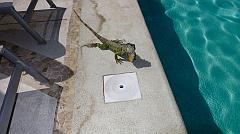 16729433_10158149901565526_2873676832346053059_n