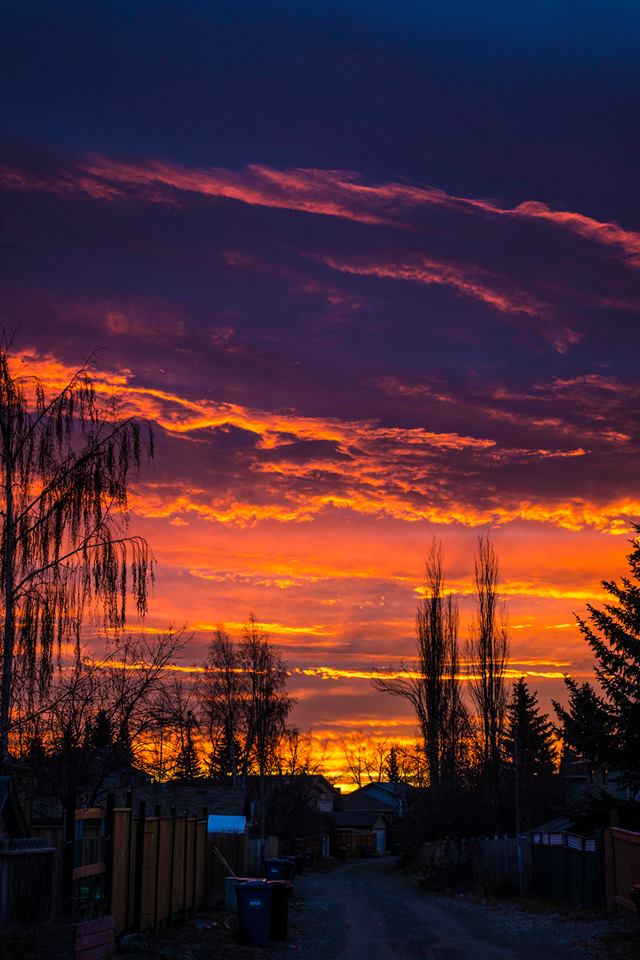 15027647_10157678021240526_5340969555637824576_n