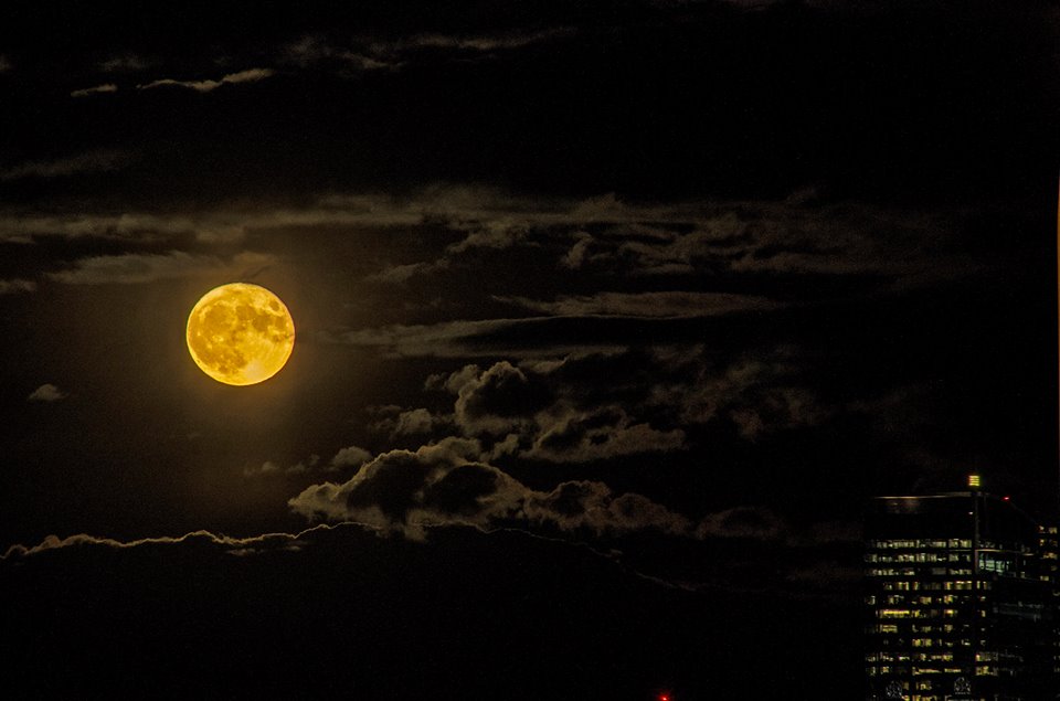 15032784_10157697347550526_8519307189175093618_n