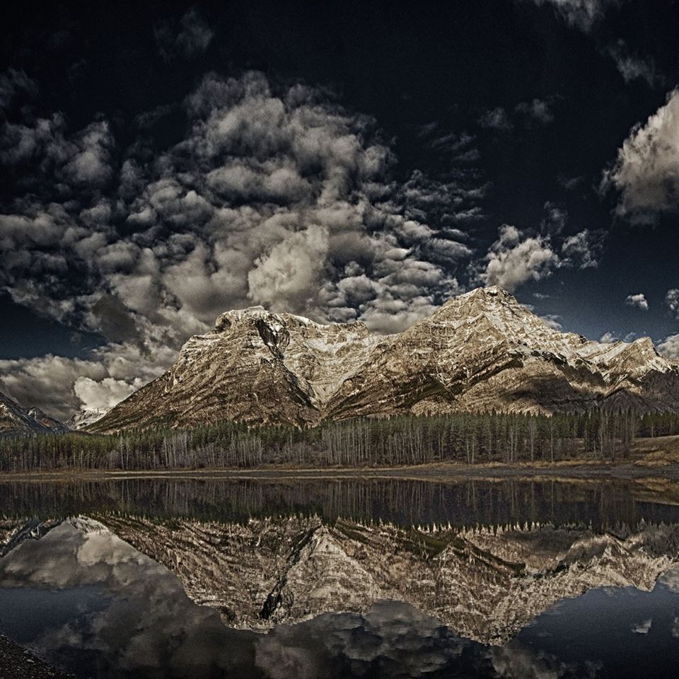 17499338_10158366825965526_7304181981771959595_n