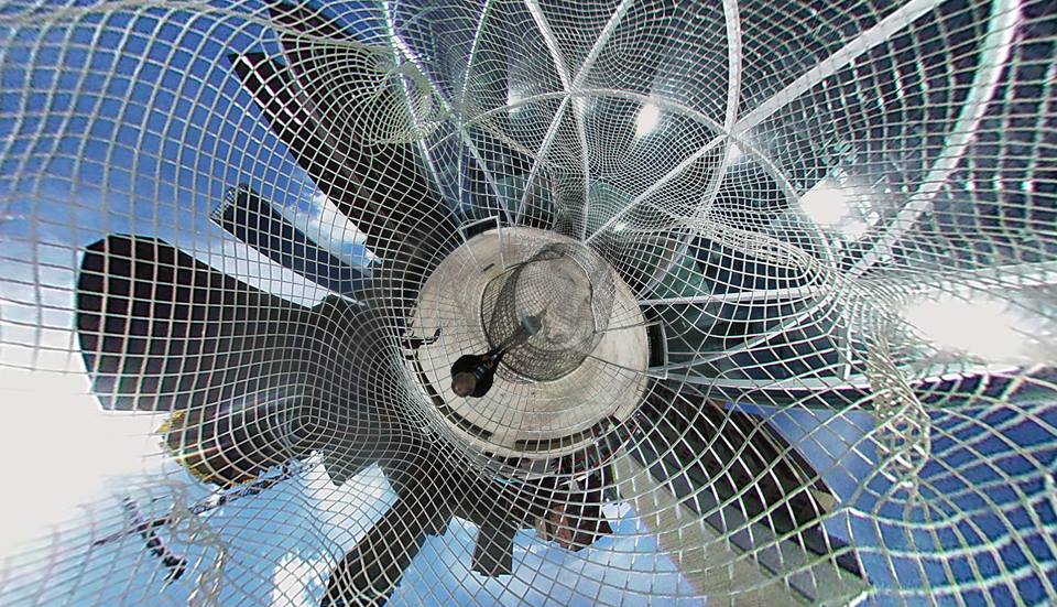 17952842_10158485615320526_5477933502753872704_n