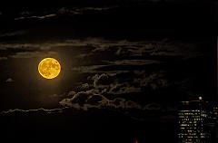 15032784_10157697347550526_8519307189175093618_n