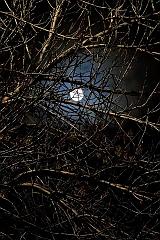 15036549_10157697349920526_6043636286383354643_n