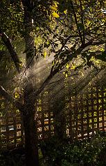 20031937_10158944599555526_766040096111405365_n