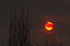 20429812_10159028611965526_8403763227709442481_n