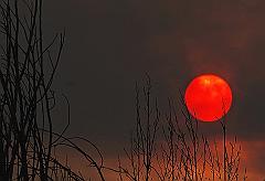 20431220_10159028611395526_418435991065923709_n