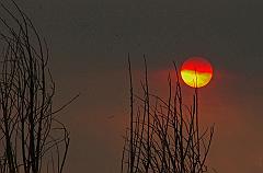 20526336_10159028612130526_252009913048411843_n