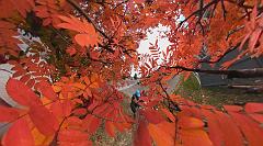 22089850_10159311994535526_6110859580654378723_n