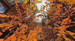 22089907_10159312008550526_2190084304604745812_n