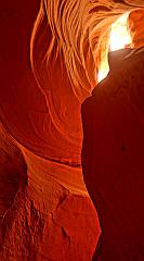 29496761_10160079812820526_1399392987481374720_n