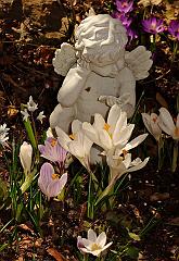 31909446_10160265005155526_5621442574997782528_n