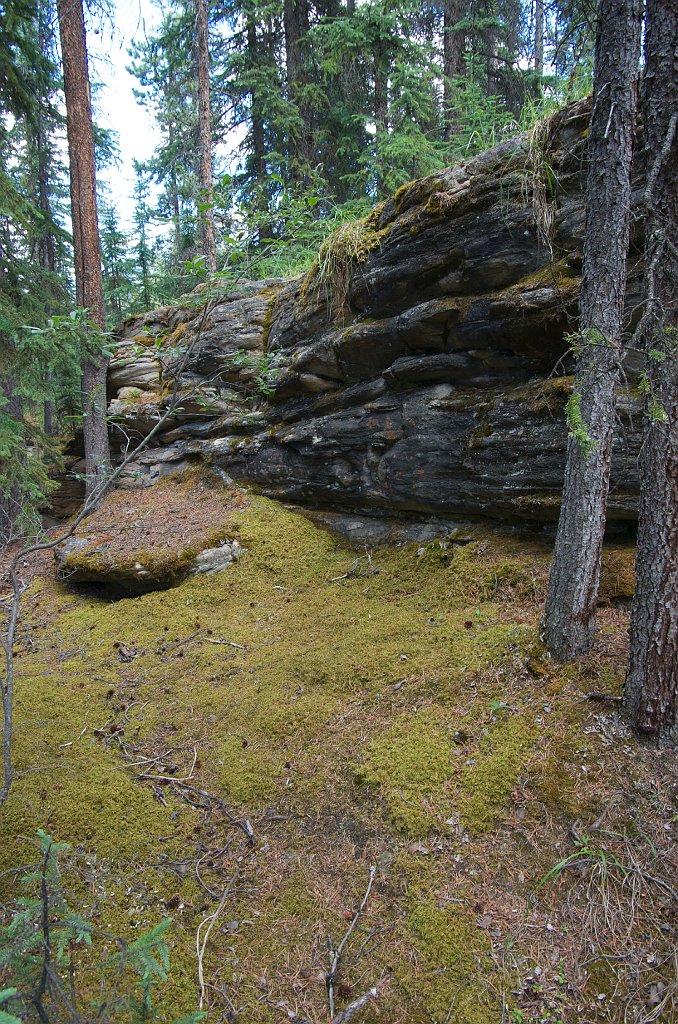 IMGP0790_moss_nr_falls
