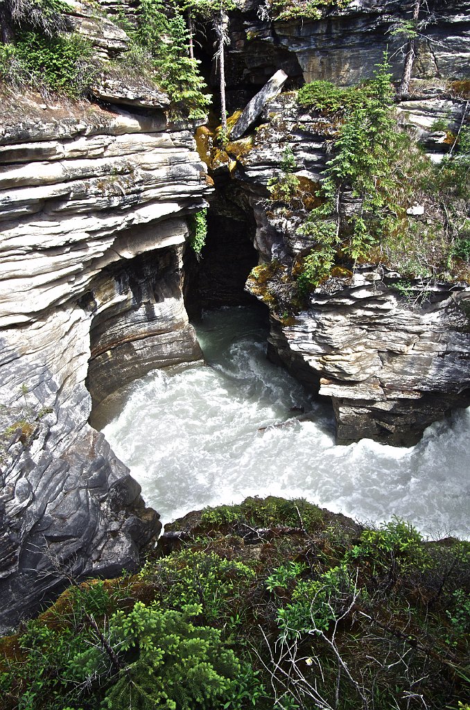 IMGP0806_athabasca_falls