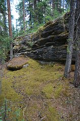 IMGP0790_moss_nr_falls