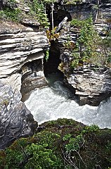 IMGP0806_athabasca_falls