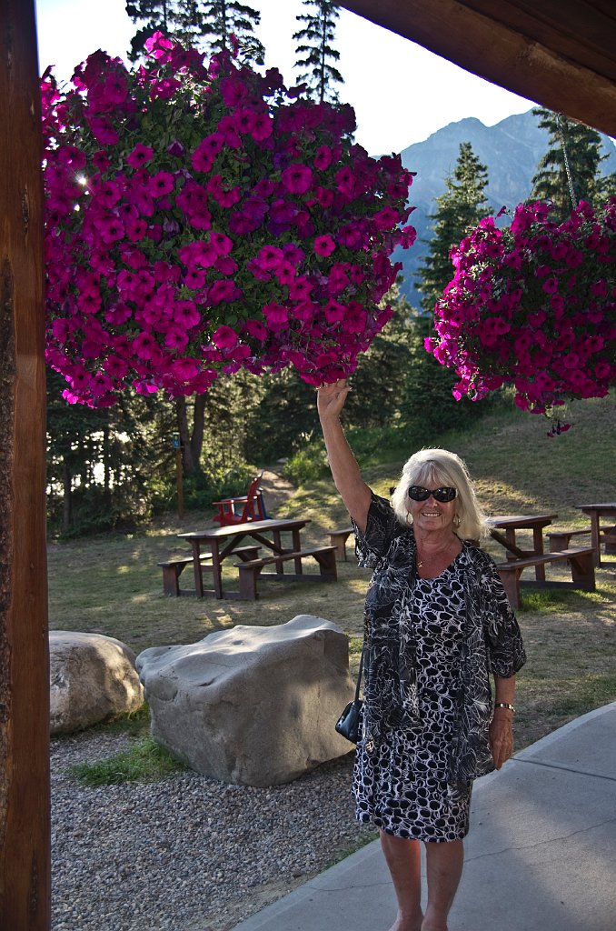 IMGP1223_jenn_hanging_baskit