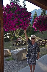 IMGP1223_jenn_hanging_baskit