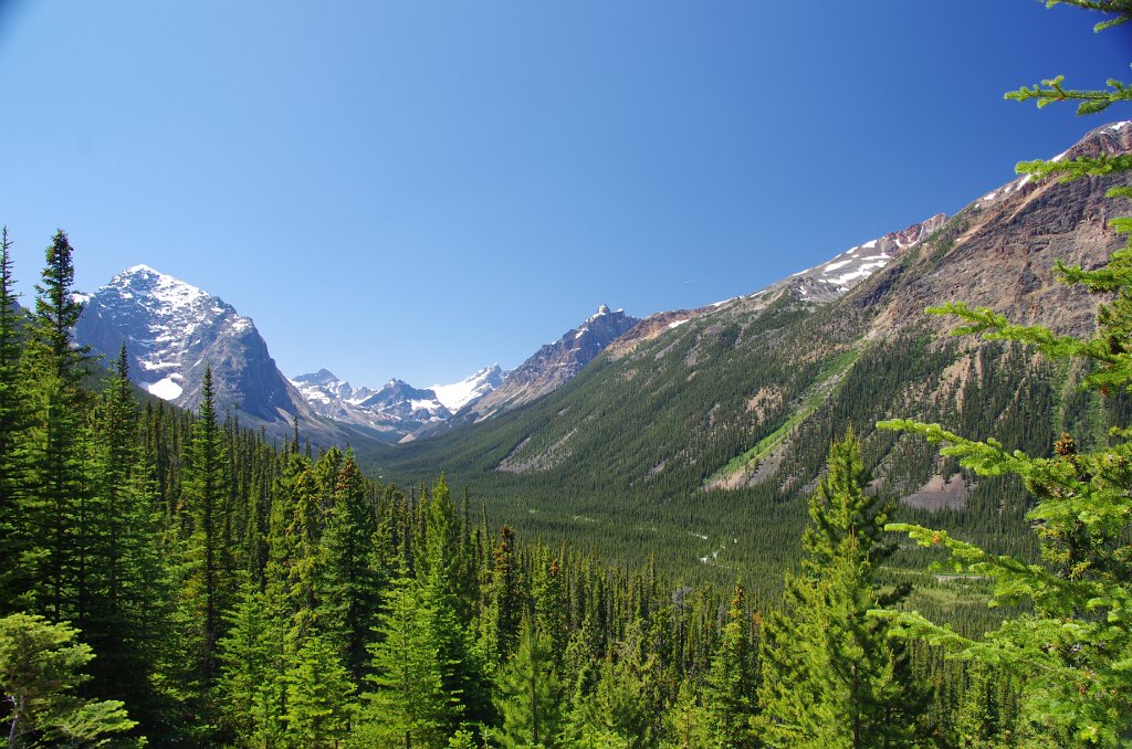 IMGP1308_near_edith_cavell