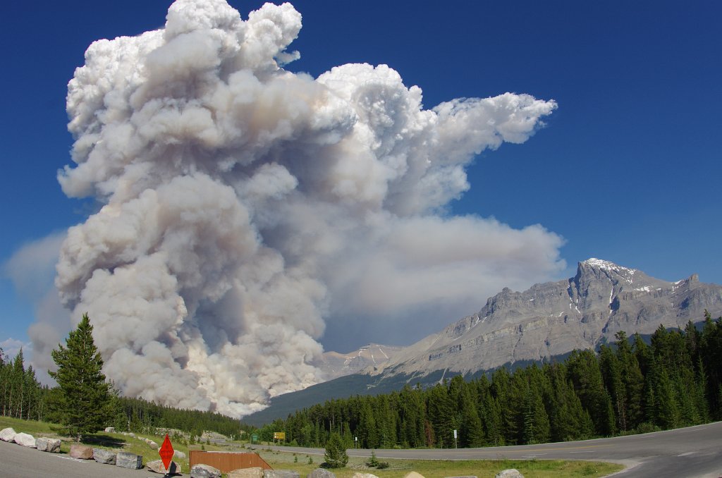 IMGP1554_forrest_fire