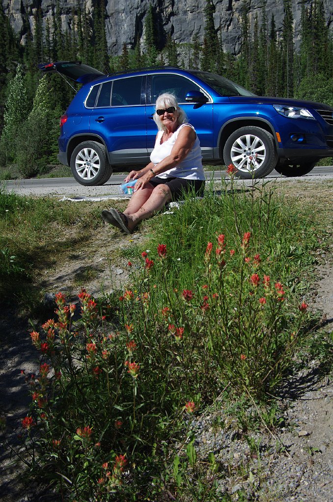 IMGP1538_jennifer_picjnic_spot