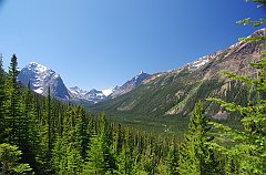 IMGP1308_near_edith_cavell