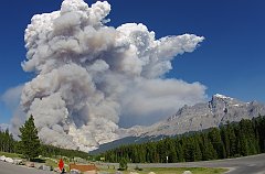 IMGP1554_forrest_fire